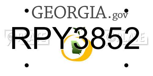 RPY3852 Georgia License Plate