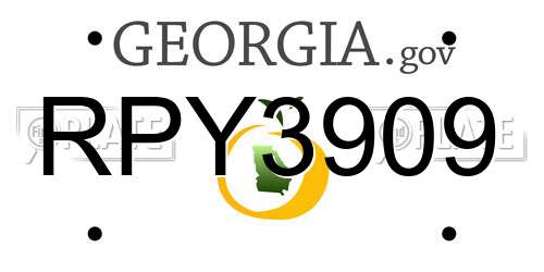 RPY3909 Georgia License Plate