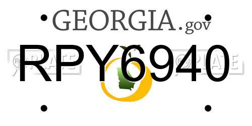 RPY6940 Georgia License Plate