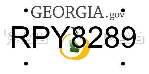 RPY8289 Georgia License Plate
