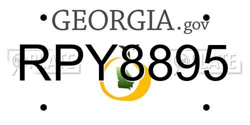 RPY8895 Georgia License Plate