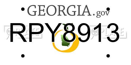 RPY8913 Georgia License Plate