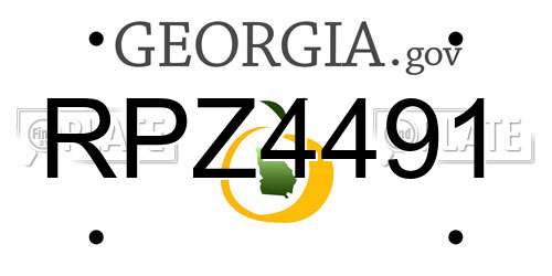 RPZ4491 Georgia License Plate