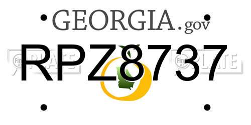 RPZ8737 Georgia License Plate