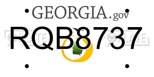 RQB8737 Georgia License Plate