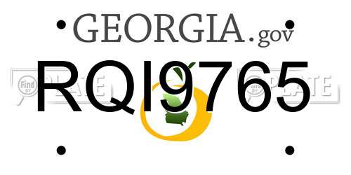 RQI9765 Georgia License Plate