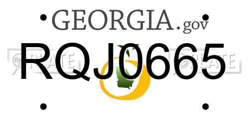 RQJ0665 Georgia License Plate
