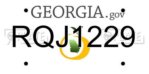 RQJ1229 Georgia License Plate
