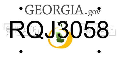 RQJ3058 Georgia License Plate