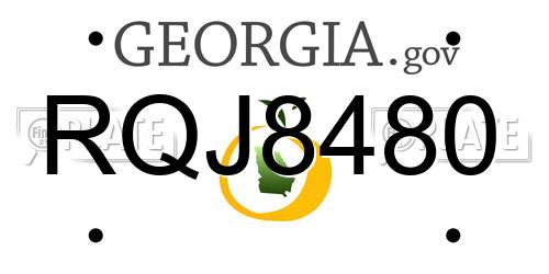RQJ8480 Georgia License Plate