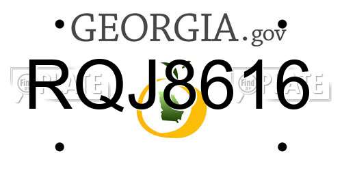 RQJ8616 Georgia License Plate