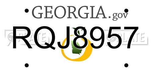 RQJ8957 Georgia License Plate