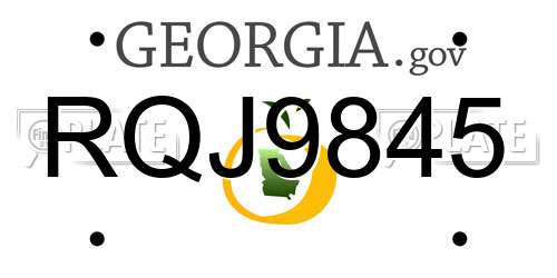 RQJ9845 Georgia License Plate