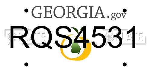 RQS4531 Georgia License Plate