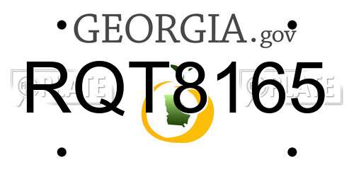 RQT8165 Georgia License Plate