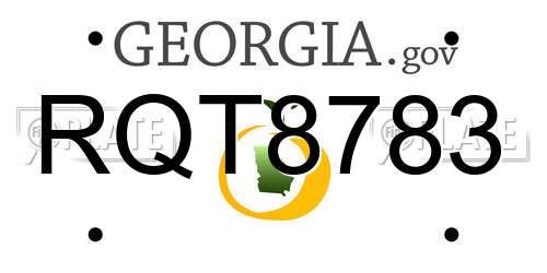 RQT8783 Georgia License Plate