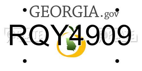 RQY4909 Georgia License Plate