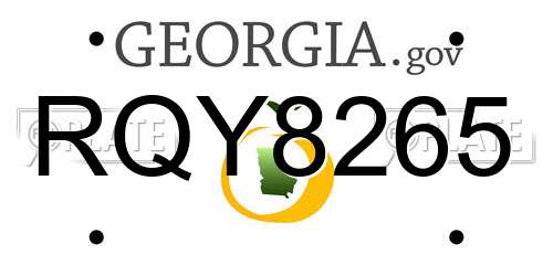 RQY8265 Georgia License Plate