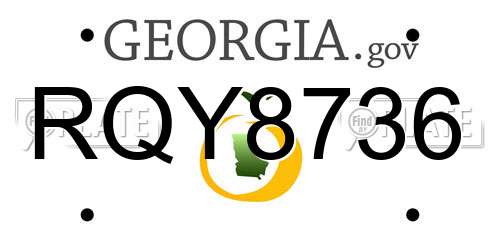 RQY8736 Georgia License Plate