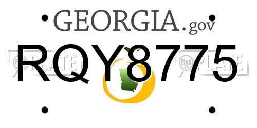 RQY8775 Georgia License Plate