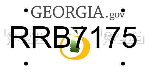 RRB7175 Georgia License Plate