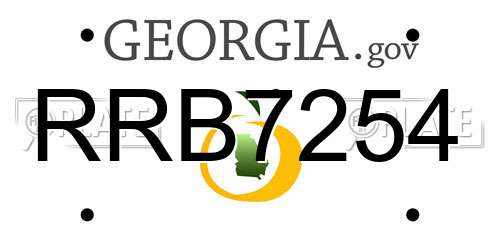 RRB7254 Georgia License Plate