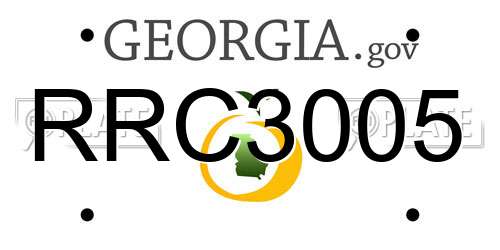 RRC3005 Georgia License Plate