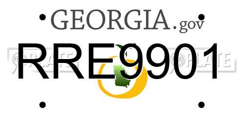RRE9901 Georgia License Plate