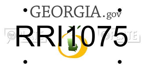 RRI1075 Georgia License Plate