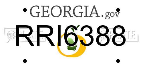 RRI6388 Georgia License Plate