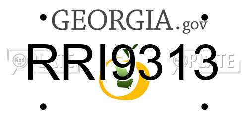 RRI9313 Georgia License Plate