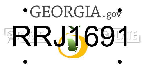 RRJ1691 Georgia License Plate