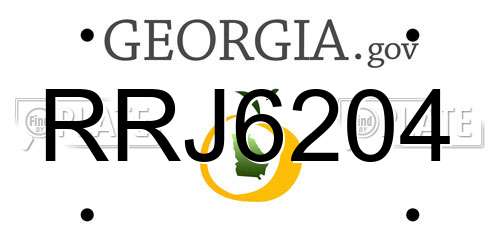 RRJ6204 Georgia License Plate