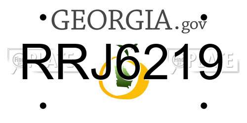 RRJ6219 Georgia License Plate