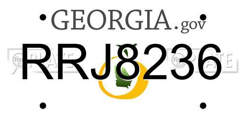 RRJ8236 Georgia License Plate