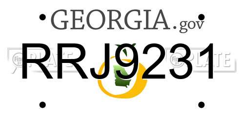 RRJ9231 Georgia License Plate