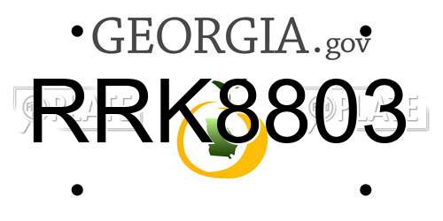 RRK8803 Georgia License Plate
