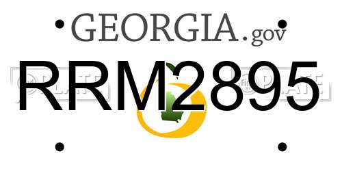 RRM2895 Georgia License Plate