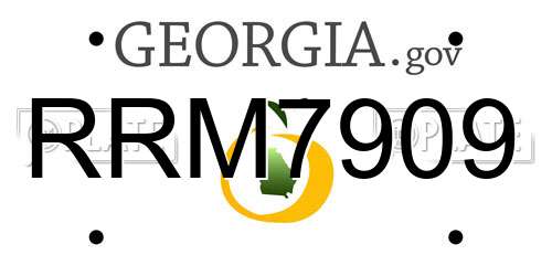 RRM7909 Georgia License Plate