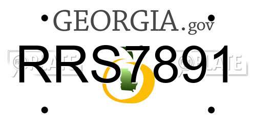 RRS7891 Georgia License Plate