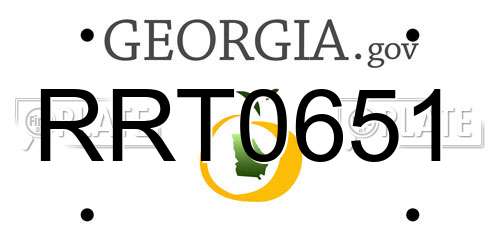 RRT0651 Georgia License Plate
