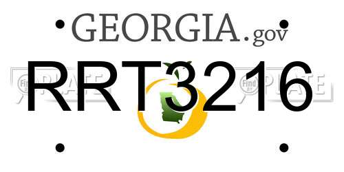 RRT3216 Georgia License Plate