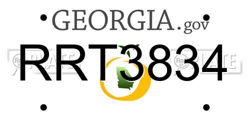 RRT3834 Georgia License Plate