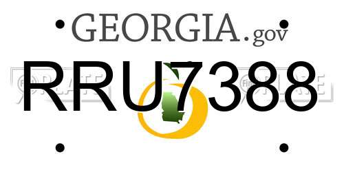 RRU7388 Georgia License Plate