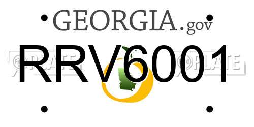 RRV6001 Georgia License Plate