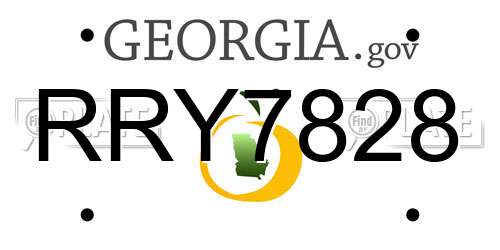 RRY7828 Georgia License Plate