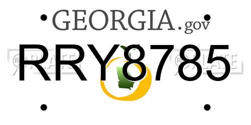 RRY8785 Georgia License Plate