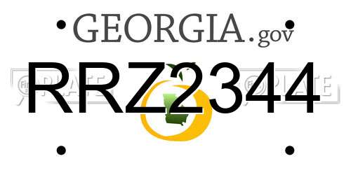 RRZ2344 Georgia License Plate