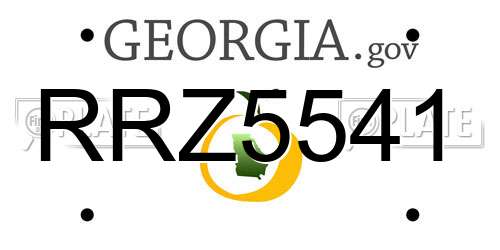 RRZ5541 Georgia License Plate