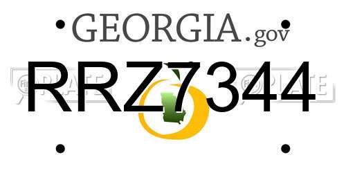 RRZ7344 Georgia License Plate